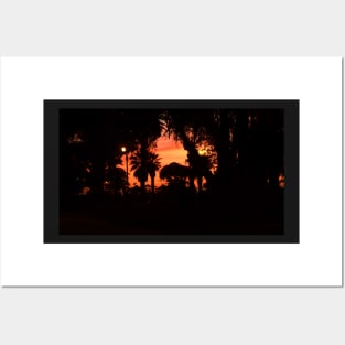 Palm trees silhouette at sunset Posters and Art